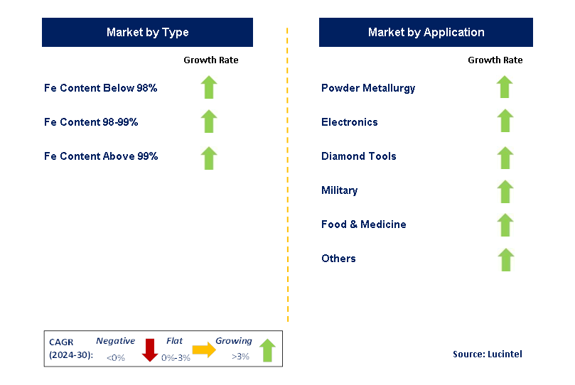 Nano Carbonyl Iron Powder by Segment